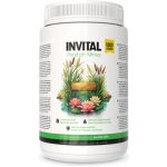 INVITAL Pond pH Minus 1000 g – Zboží Mobilmania