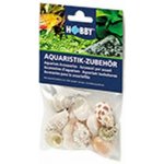 Hobby Sea Shells Set M 10 ks – Hledejceny.cz