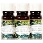 Saloos esenciální olej MALINA 10 ml – Zboží Dáma
