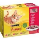 Friskies Cat kuře hovězí jehněčí a kachna ve šťávě 12 x 85 g – Zboží Mobilmania