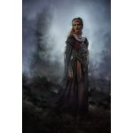 Fotografie - Gerber, Charlaine: Z prašné stolové hory vyrůstá její rýsující se stín.... - reprodukce obrazu – Sleviste.cz