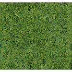 Heki Kittler Lesní půda z divoké trávy 1871 – Sleviste.cz