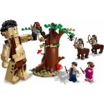 LEGO® Harry Potter™ 75967 Zapovězený les: Setkání Drápa a profesorky Umbridgeové – Hledejceny.cz