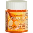 HERB EXTRACT Ochranný balzám na rty - Propolis 25 ml