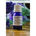 Bachovy květové esence Rock Water Globuli 10 g – Hledejceny.cz