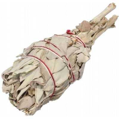 Neofarma Kadidlo Neofarma bílá šalvěj 20 g – Zboží Dáma