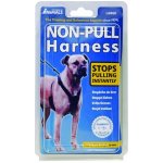 The Company of Animals Ltd Postroj podšitý Non Pull Harnesss proti tahání L – Zboží Dáma
