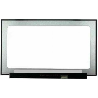 Lenovo Legion 5 82B3 display 17.3" LED LCD displej Full HD 1920x1080 matný povrch – Zboží Živě