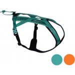 Non-Stop Postroj pro psy dogwear Rush teal – Zbozi.Blesk.cz