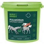 Root&Snoot Pulmoran Dých.cesty pro koně sypaná směs1 kg – Hledejceny.cz