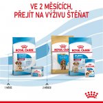 Royal Canin Starter Mother&Babydog Medium 1 kg – Hledejceny.cz