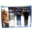 Parfém Paris Hilton toaletní voda pánská 100 ml