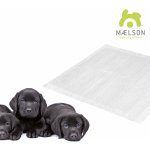 Maelson absorpční podložka 60 x 60 cm 30 ks – Sleviste.cz