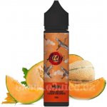 ZAP! Juice AISU Melon S&V 10 ml – Hledejceny.cz