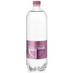 Dolomia Neperlivá voda pet 0,5 l – Hledejceny.cz