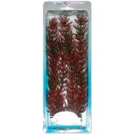 Tetra rostlina Red Foxtail Plus 30 cm – Zboží Mobilmania