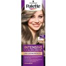 Palette Intensive Color 8-21 světlý popelavý plavý 50 ml