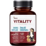 Akinu Vitality Žraločí chrupavka 100 g – Hledejceny.cz