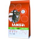 Krmivo pro kočky Iams for Vitality Cat Adult Lamb 10 kg