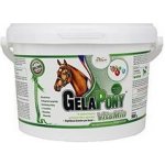 Orling Gelapony VitaMin 0,9 kg – Zboží Dáma