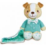 Clementoni můj plyšový kamarád pejsek 17479 – Zbozi.Blesk.cz