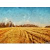 Tapety WEBLUX Fototapeta plátno Impressionism oil painting on canvas nature landscape motifs wall art print. Countryside beauty. Village. Contemporary artwork for creating poste 240 x 174 cm