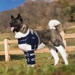 Balto Dlaha na ramena pro psa M – Zboží Dáma