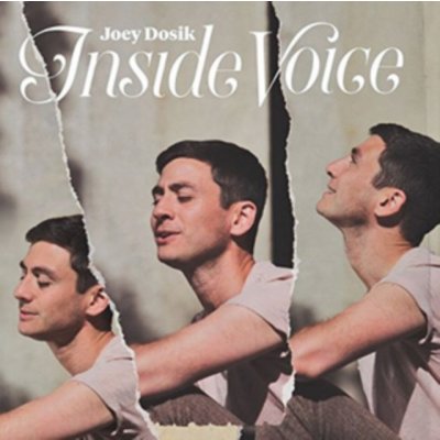 Inside Voice - Joey Dosik LP – Zboží Mobilmania