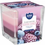 Bispol Aura Frozen Berries 170 g – Hledejceny.cz