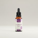Serafin Hubnutí tinktura z bylin 30 ml – Hledejceny.cz