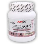Amix Viscofan Collagen drink forest fruit 300 g – Hledejceny.cz