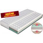 Dřevočal Manet – Zboží Dáma