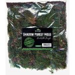Terrario Shadow Forest Moss 35x30 cm – Hledejceny.cz