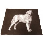 VetBed Vet Bed Labrador – Zboží Mobilmania