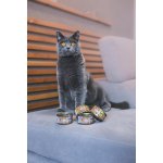 Marp Holistic Plus Tuňák se sardinkami a borůvkami v želé 70 g – Sleviste.cz