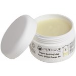 Odylique dětská hojivá mast 50 g – Zboží Dáma