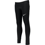 Nike Y NK DRY PAD GRDN I GK TGHT K černá – Hledejceny.cz
