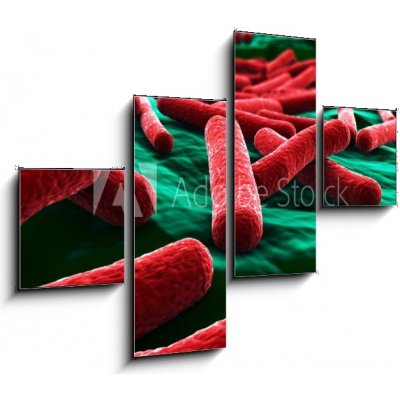 Obraz 4D čtyřdílný - 120 x 90 cm - E coli Bacteria close up Bakterie E coli zblízka