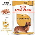 Royal Canin Adult Dashund 12 x 85 g – Zboží Mobilmania