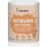 Blendea Fatburn Day Drink 100 g – Zboží Dáma