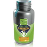 Altervet Cartilan CBD+ 60 g 40 tbl – Zbozi.Blesk.cz