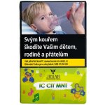 Jibiar Ic Cit Mnt 50 g – Zboží Dáma