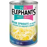 TWIN ELEPHANT EARTH Fazolové výhonky ve vodě 420 g – Zboží Dáma