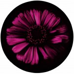 Bukoma Play 120 cm 08 Neonový květ – Hledejceny.cz