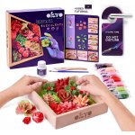 OKTO Passion Výtvarná modelovací sada sukulenty v dřevěném rámu 21x21 cm W034377 – Hledejceny.cz
