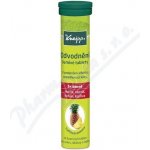 Kneipp Odvodnění šumivé tablety 84 g – Hledejceny.cz