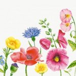 BioDunisoft Ubrousek Flowy Meadow 60ks 40x40cm – Hledejceny.cz