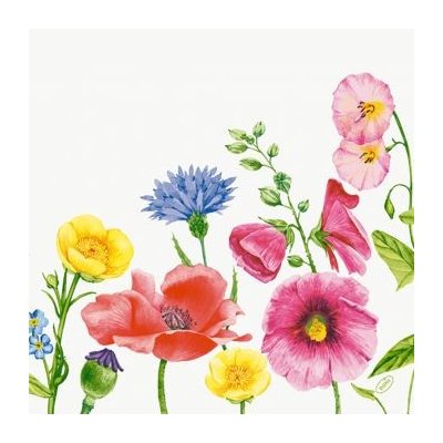 BioDunisoft Ubrousek Flowy Meadow 60ks 40x40cm – Hledejceny.cz