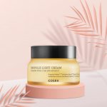 Cosrx Propolis Light Cream 65 ml – Hledejceny.cz