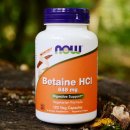 Now Foods Betaine HCl 120 kapslí